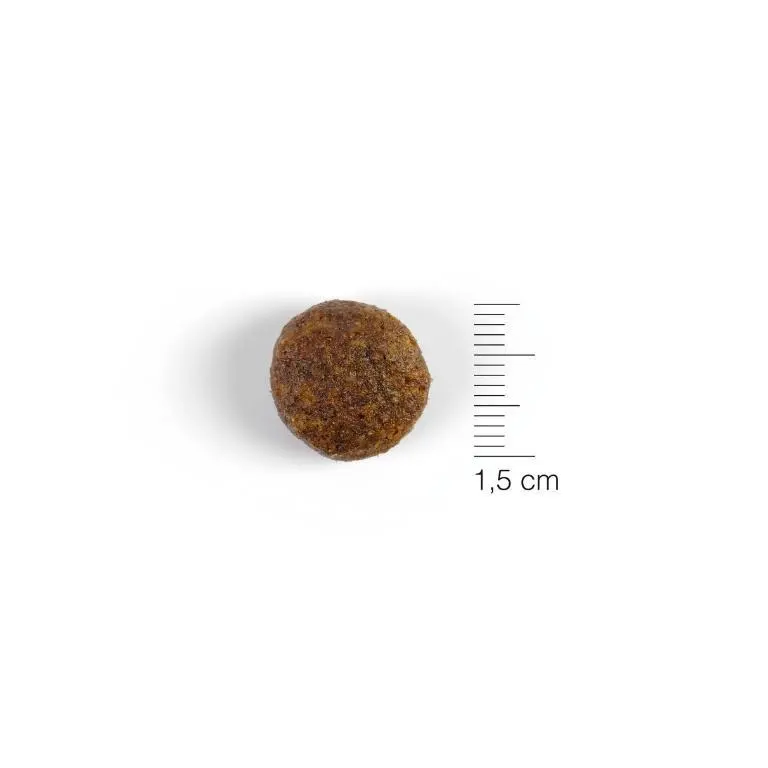 Natura Diet Hundefoder Senior +7 Mini 500 g - tørfoder til små ældre hunde